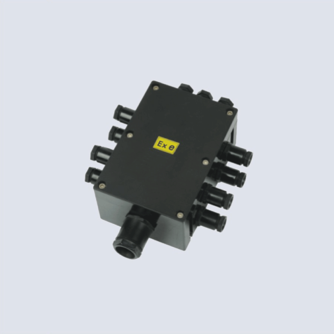 BJX8050系列防爆防腐接線箱(II C、 ExtD)