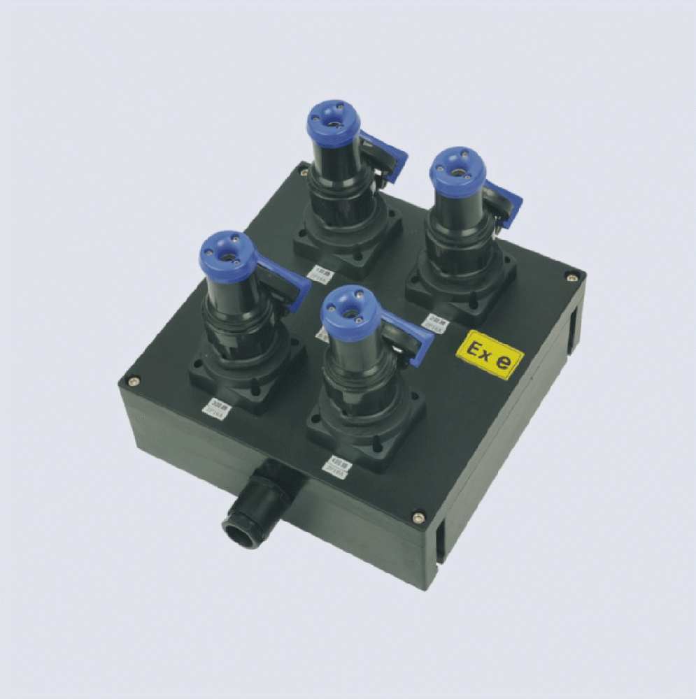 BXX8050-系列防爆防腐檢修電源插座箱(IIC、 ExtD)